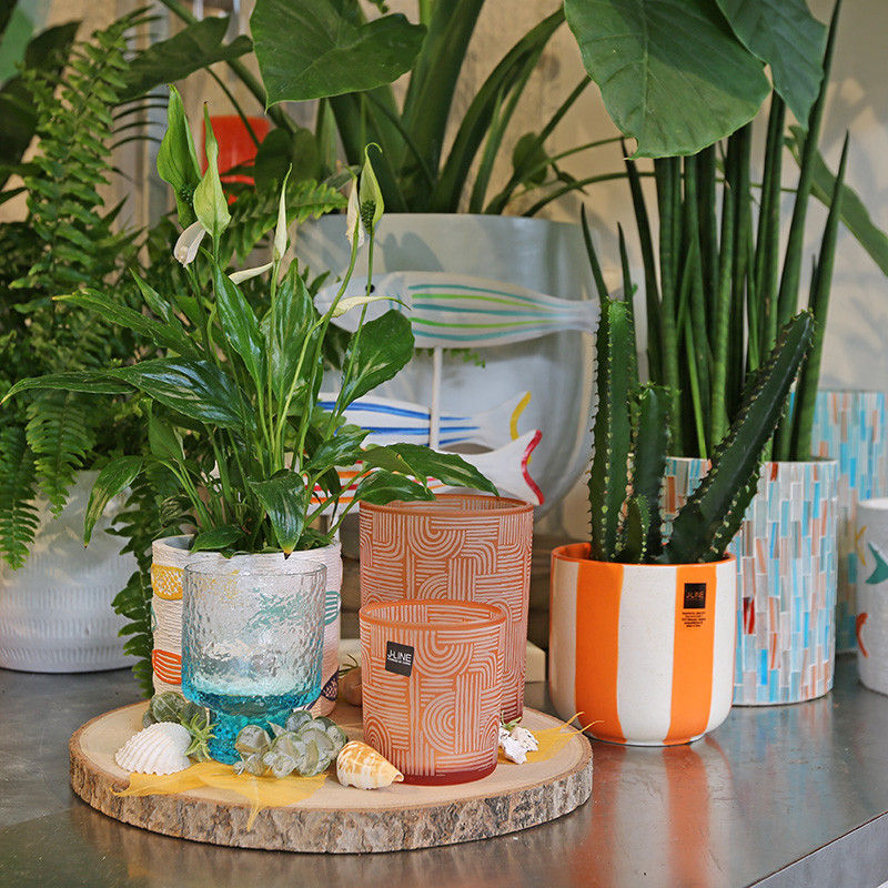 Bloemen en decoratie | Vanallemeersch-Deraedt Bloemen en decoratie | Vanallemeersch-Deraedt
