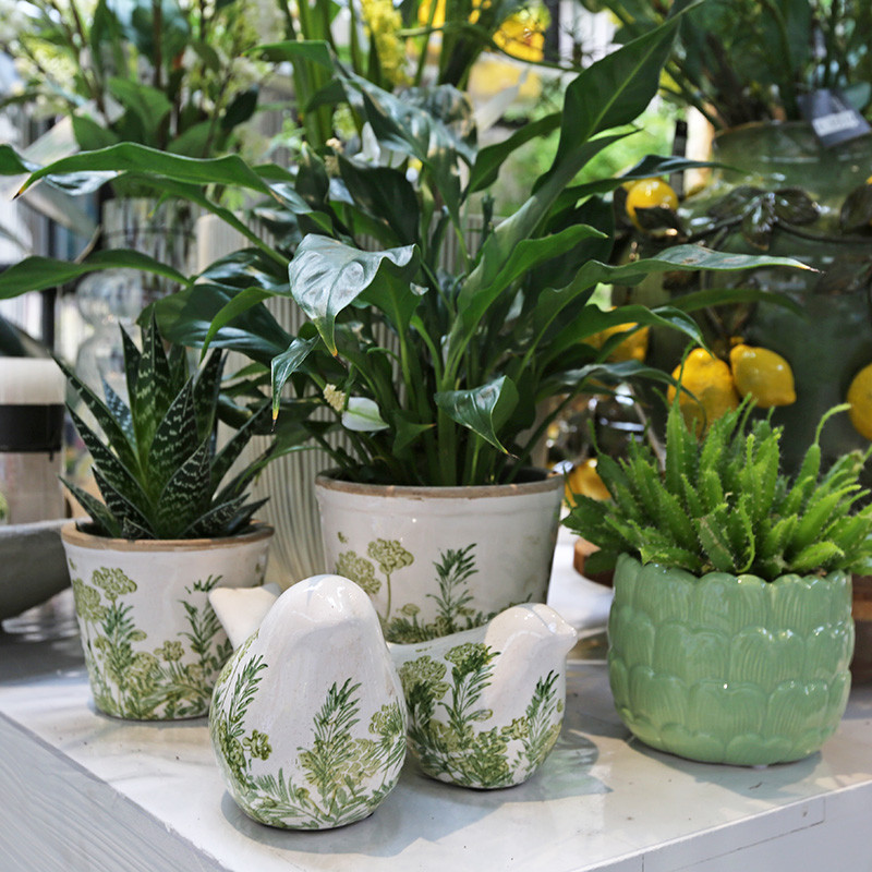 Bloemen en decoratie | Vanallemeersch-Deraedt