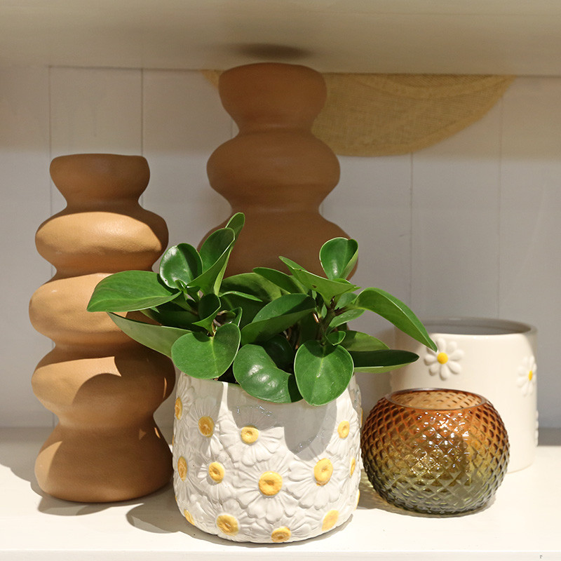 Bloemen en decoratie | Vanallemeersch-Deraedt
