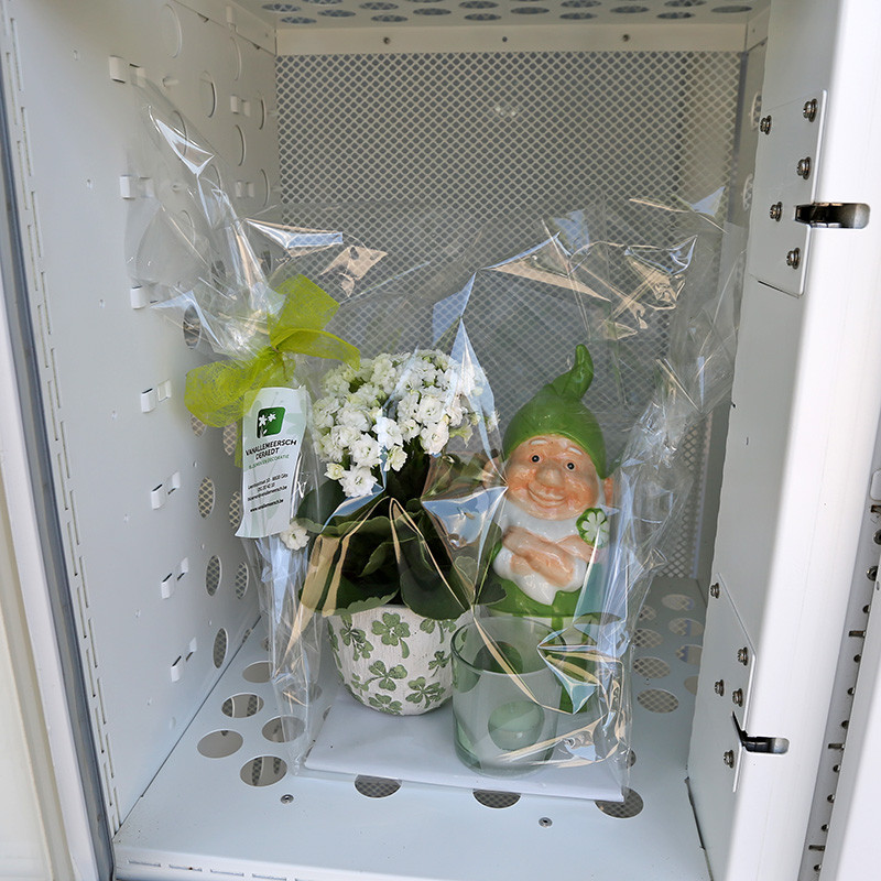 Bloemen en decoratie | Vanallemeersch-Deraedt