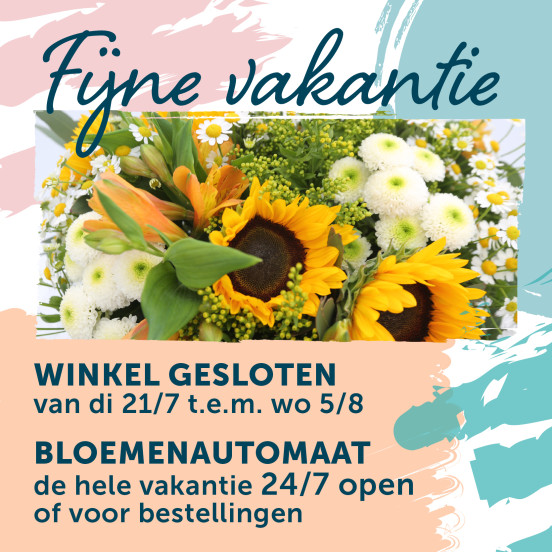 Zomer 2026 Zomer 2026