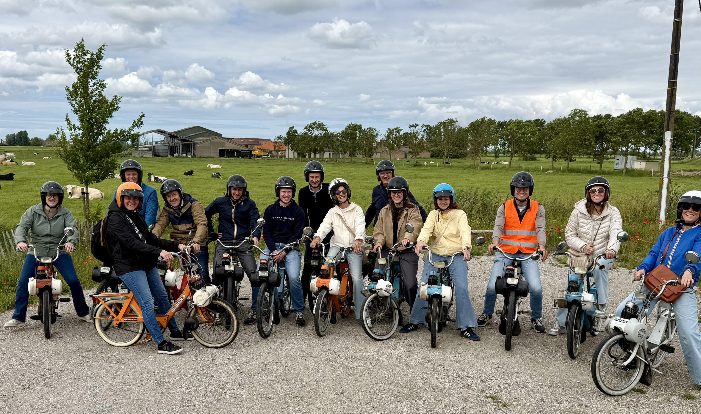 verhelst-team