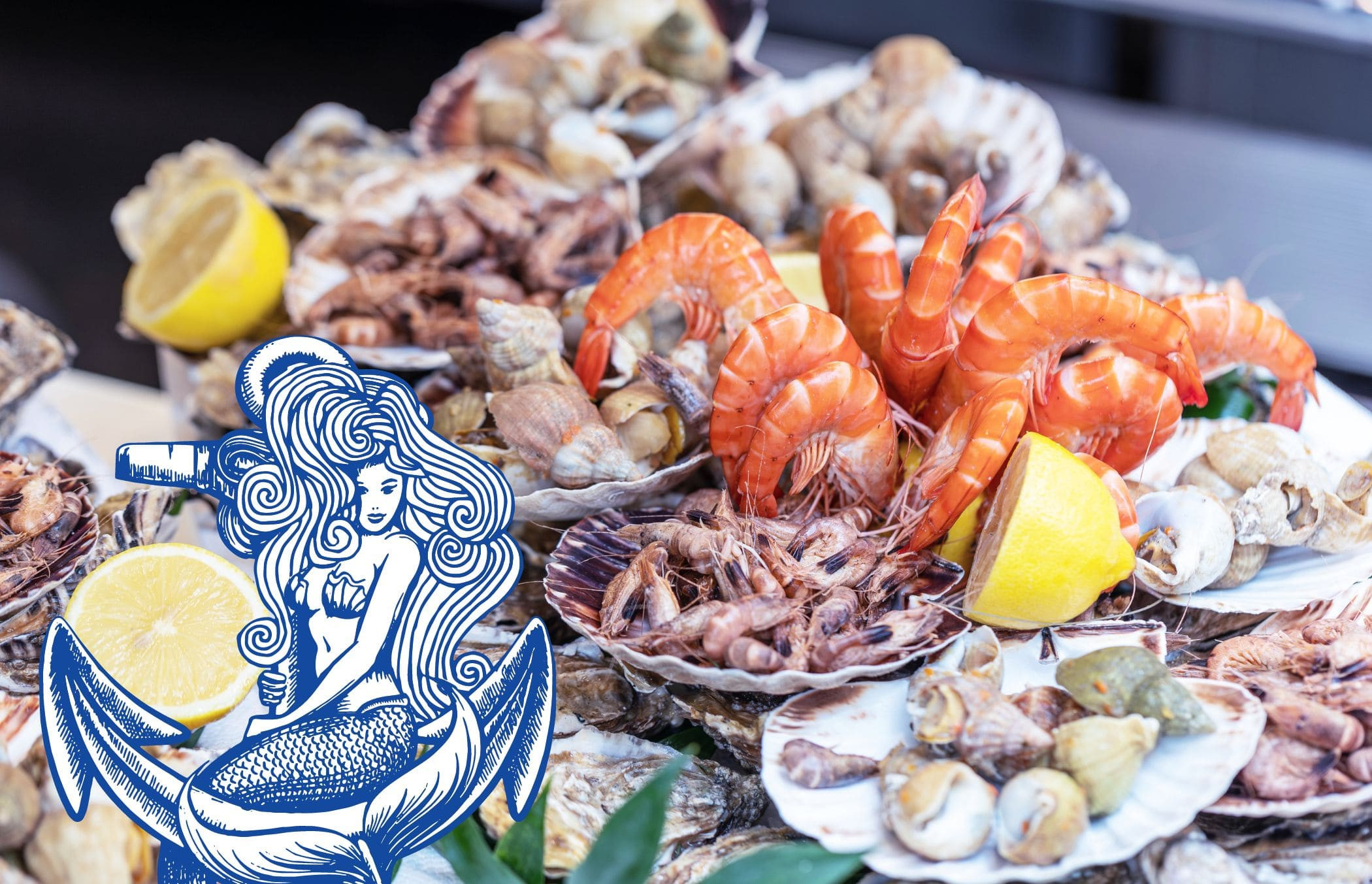 VISTRAP_2025_NOV_Zeevruchten_blog