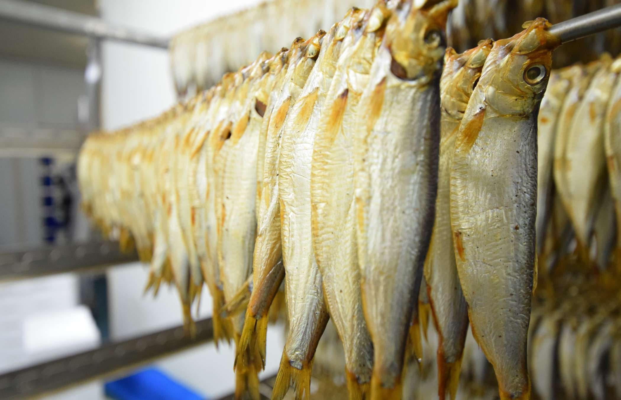 VISTRAP_202602_BLOG_visroken_01