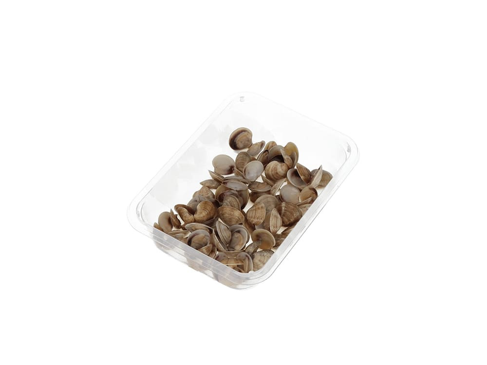 Vongole