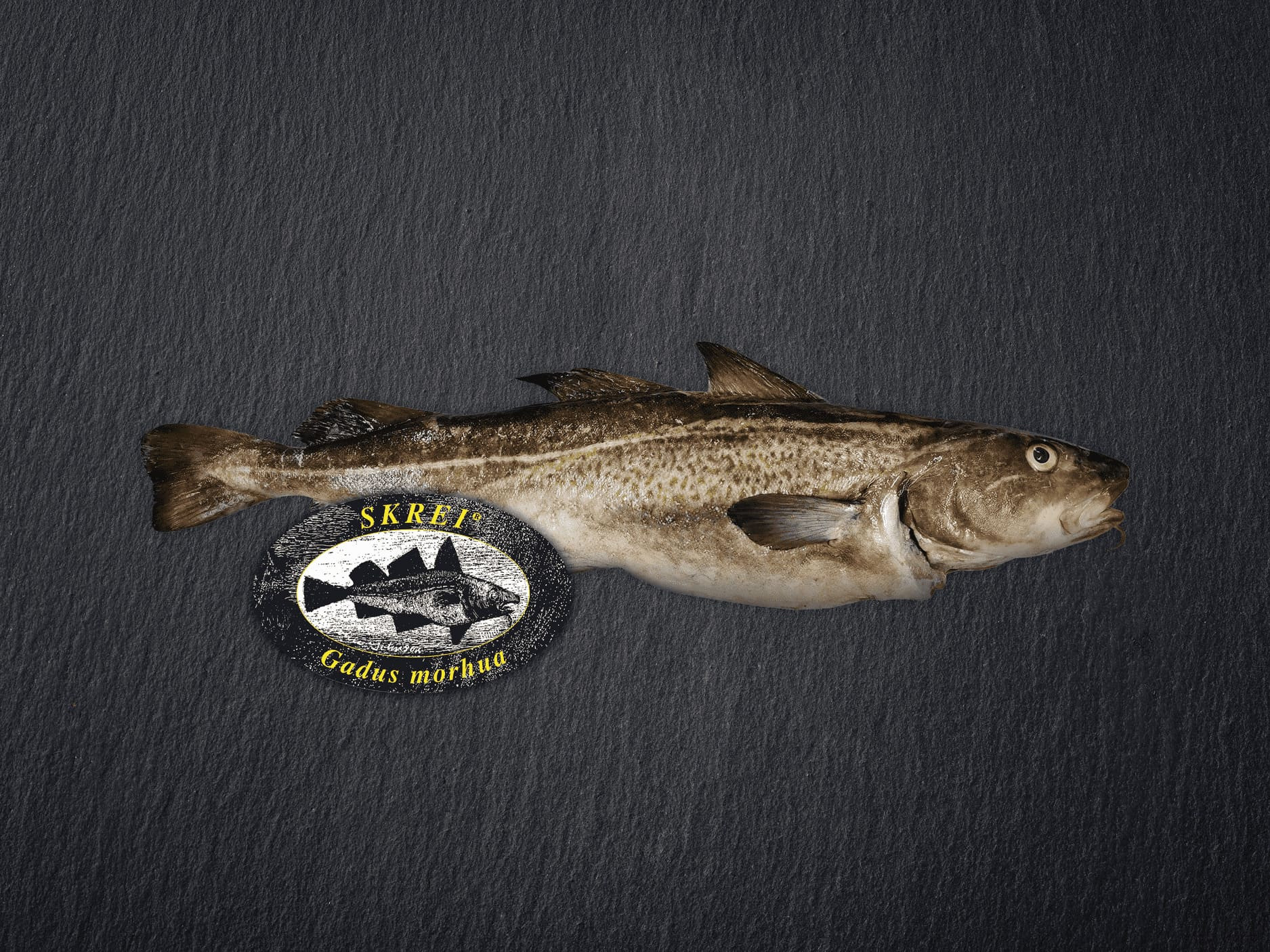 skrei-bruto-leisteen