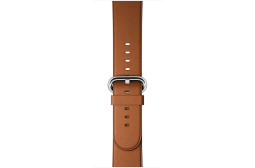 watchband-classic-brown