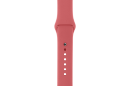 watchband-sport-camellia-42