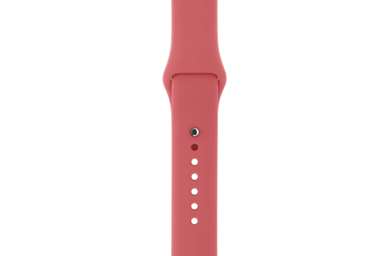 watchband-sport-camellia-42