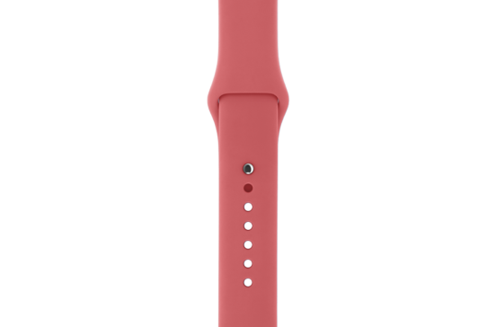 watchband-sport-camillia-38